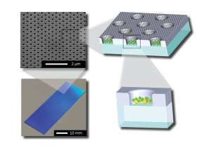 Nanohole Array